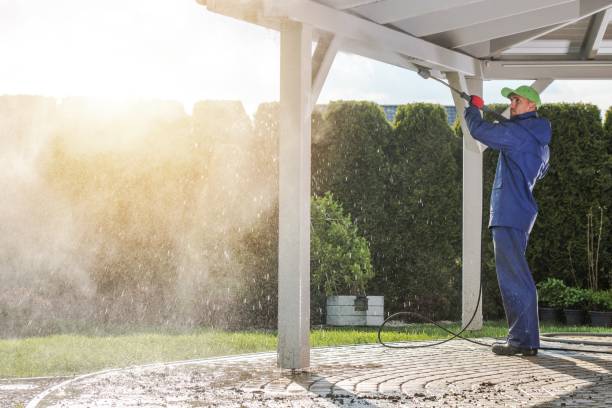 Best Soft Washing  in Parchment, MI